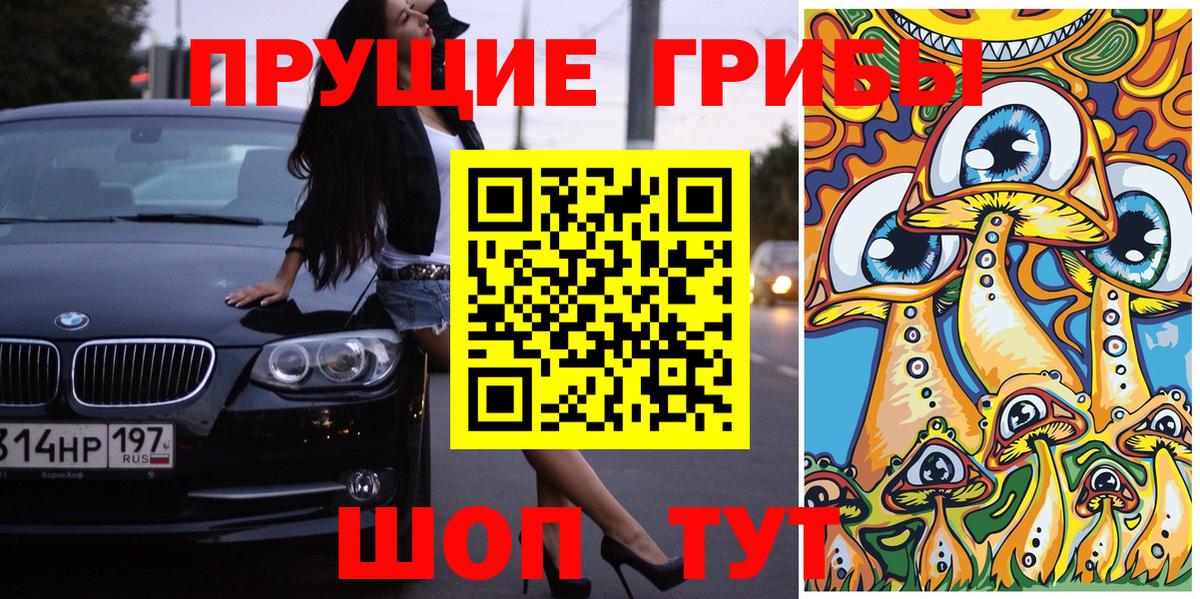 Псилоцибиновые грибы мухоморы Хасавюрт
