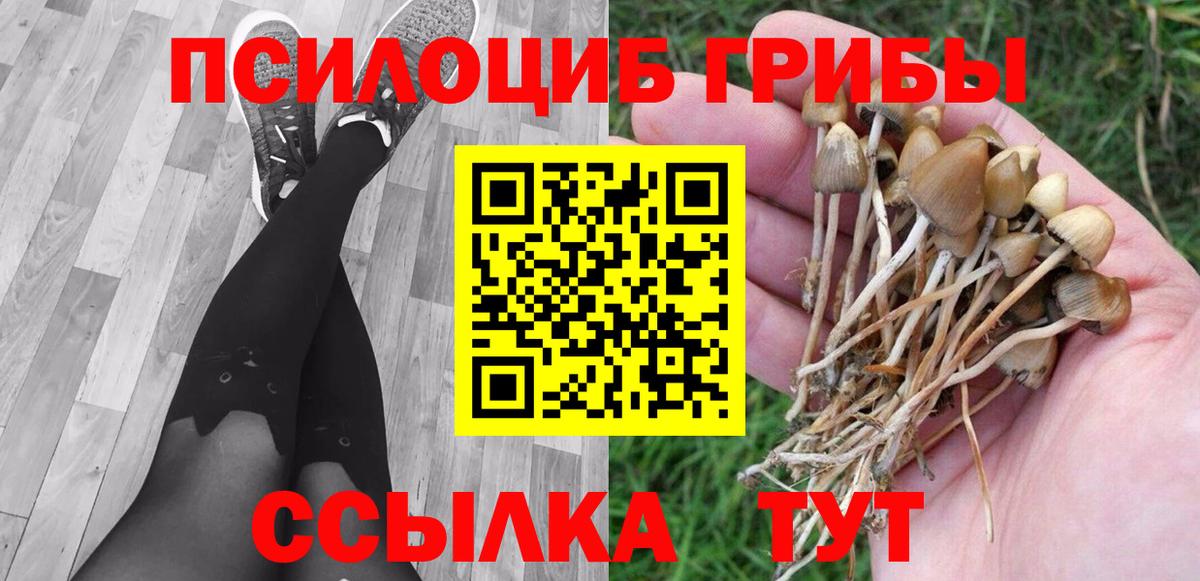 Галлюциногенные грибы GOLDEN TEACHER  Псилоцибиновые грибы мицелий  Хасавюрт  Вход с VPN 